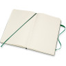 Блокнот MOLESKINE Classic Large, клетка, зелёный QP061K15